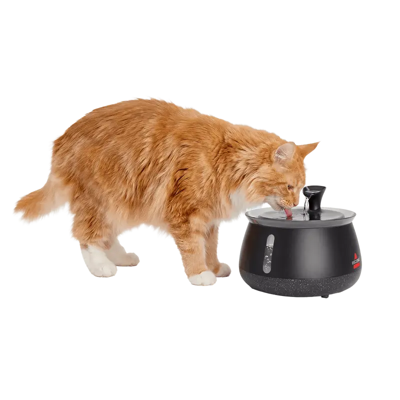 Automatic Cat Water Fountain with Ultra-Quiet Wireless Pump – Filtered Drinking Water Dispenser with Circulating Flow, Large Capacity, Low-Noise Design for Cats & Small Pets